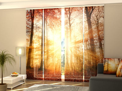 4-Flächenvorhang Set mit Zubehör, Wunderschönes Herbstlicht im Wald, Größe: 60x270 cm