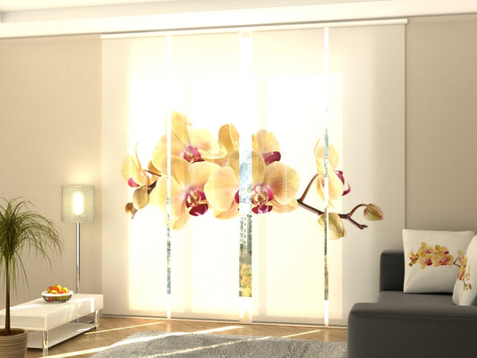 4-Flächenvorhang Set mit Zubehör, Goldene Orchidee auf Weiß, Größe: 60x245 cm