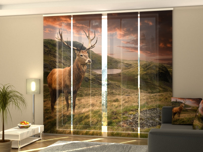 4-Flächenvorhang Set mit Zubehör, Roter Hirsch bei Sonnenuntergang, Größe: 60x245 cm