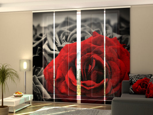 4-Flächenvorhang Set mit Zubehör, Rote Rose auf Schwarz-Weiß, Größe: 60x245 cm