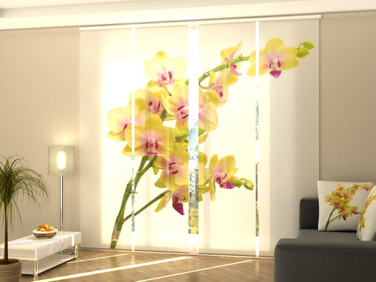 4-Flächenvorhang Set mit Zubehör, Sonnige Orchidee 2, Größe: 60x270 cm