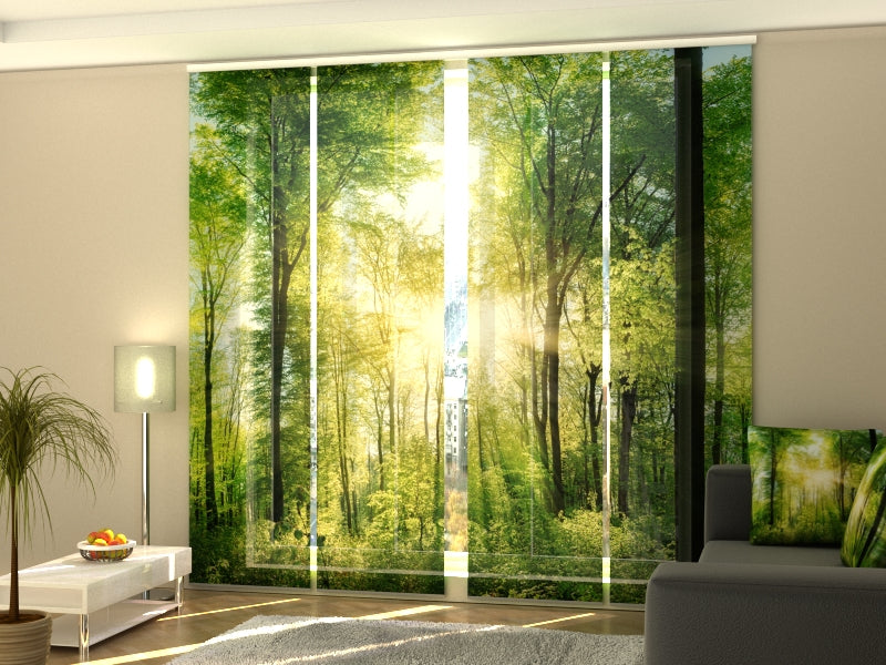 4-Flächenvorhang Set mit Zubehör, Sonnenstrahlen, Größe: 60x300 cm